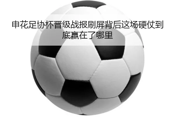 申花足协杯晋级战报刷屏背后这场硬仗到底赢在了哪里